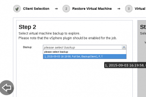 Plugin Restauração Granular VMware VSphere Bacula Enterprise (Single-Item) – Guia Rápido 22