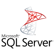 Export API Table Data to SQL Server in SSIS